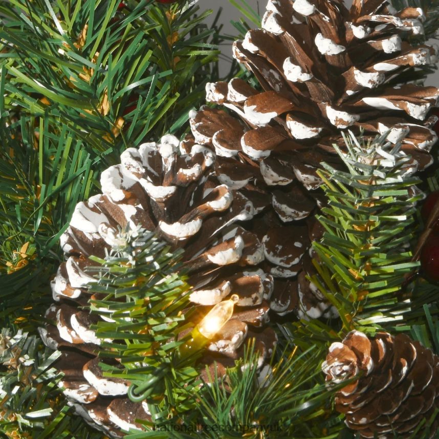 Greenery | National Tree Company Pre-Lit Artificial Christmas Wreath Green Frosted Berry White Lights Decorated with Pine Cones Berry Clusters Frosted Branches Christmas Collection 24 Inches F